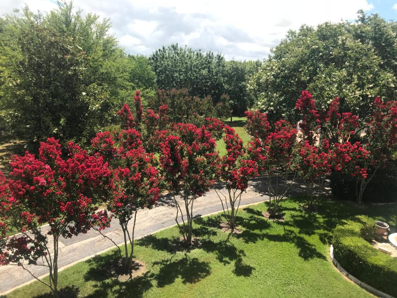 The Plantation House Boutique Inn Pflugerville Εξωτερικό φωτογραφία