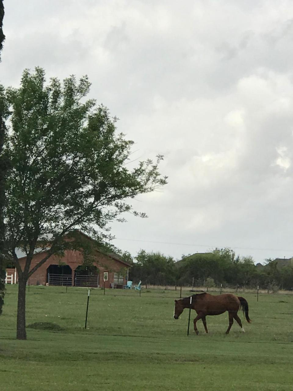 The Plantation House Boutique Inn Pflugerville Εξωτερικό φωτογραφία